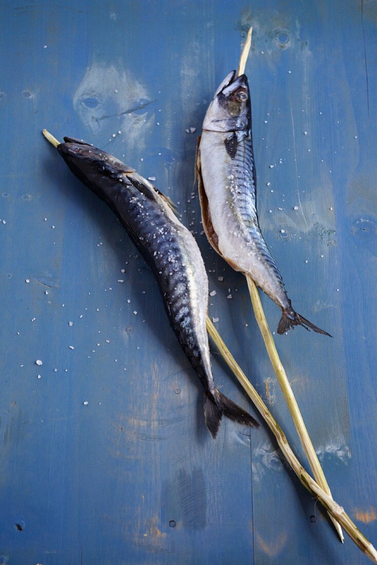 Two skewered fish (mackerel on wooden skewers)