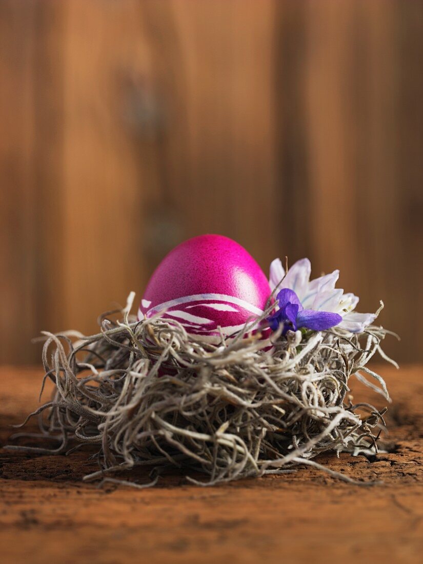 A bright pink egg decorated for Easter, in a nest with spring flowers