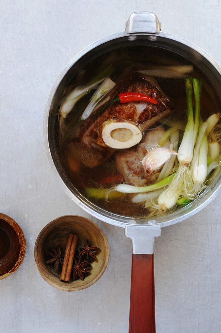 Suppe mit Frühlingszwiebeln und Rindfleisch (Vietnam)