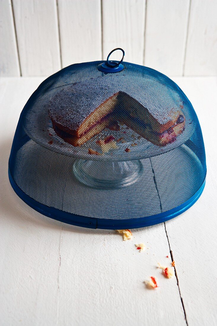 A cake under a fly dome on a cake stand