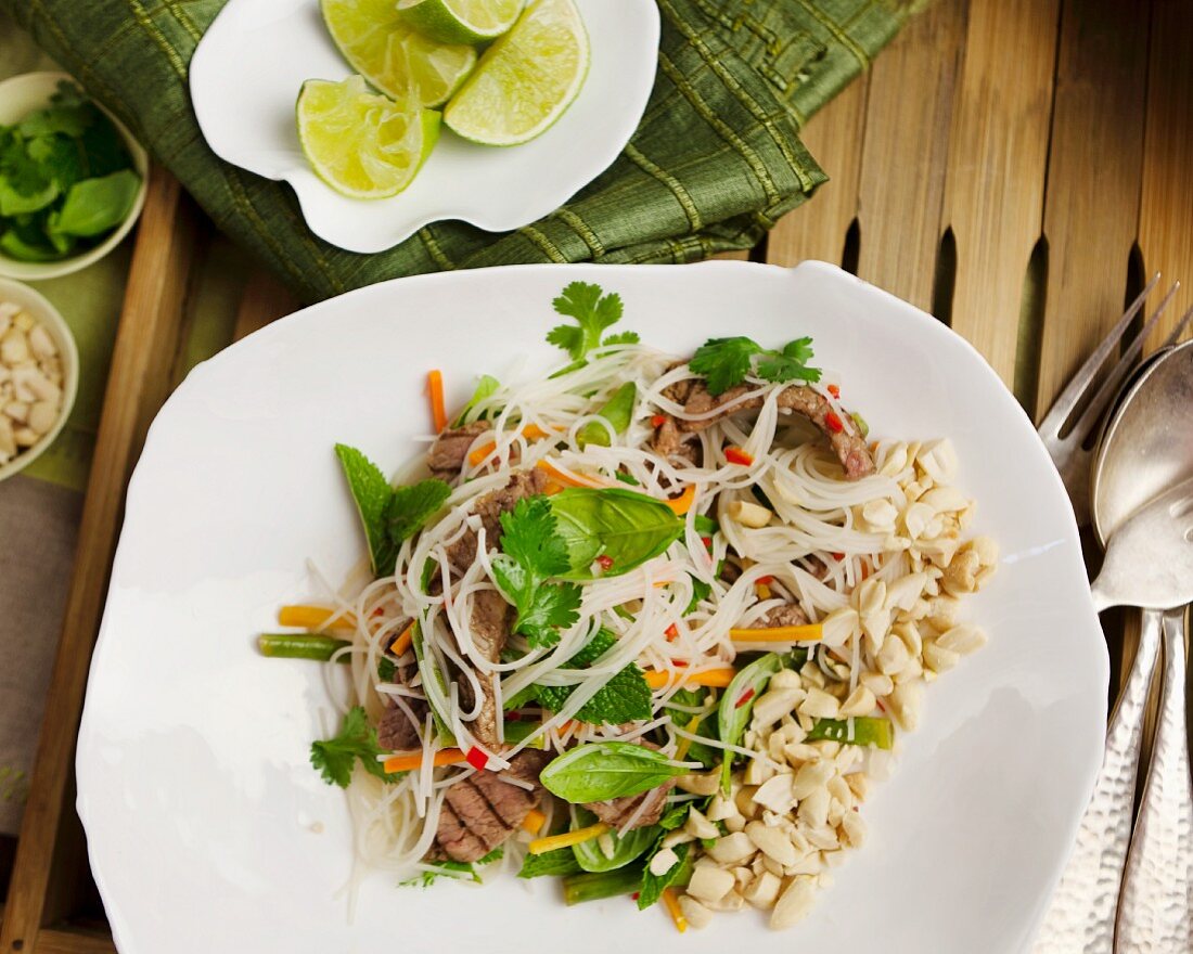 Noodle salad with beef (Vietnam)