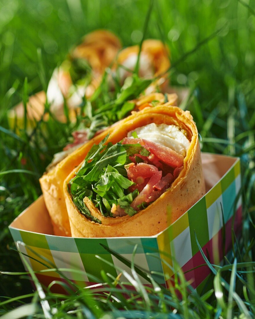 Wrap mit Tomaten und Mozzarella in Take Out Box im Gras