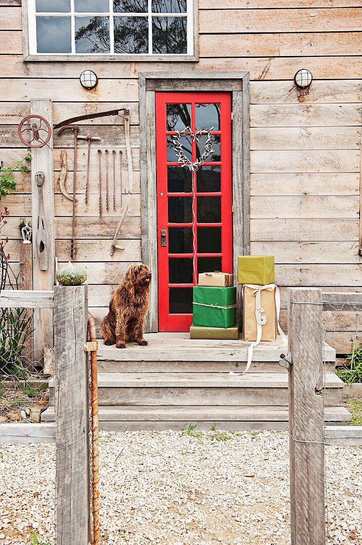 Wrapped presents and dog in front of red exterior door of rustic wooden house