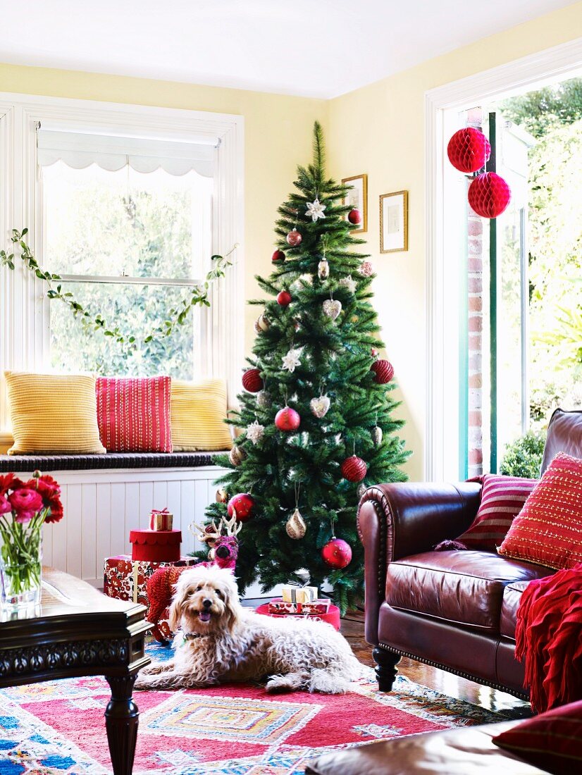 Christmas presents in front of decorated Christmas tree; maroon leather couch in foreground