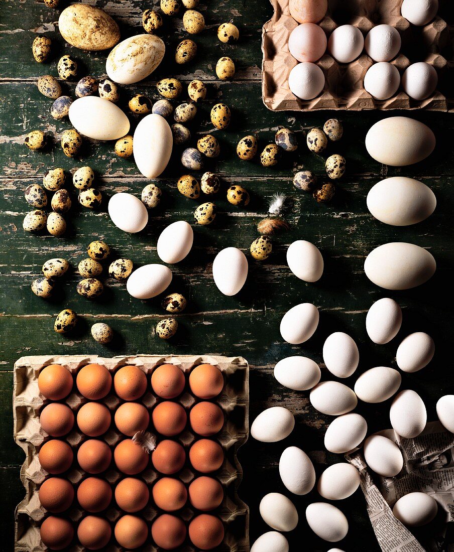 Verschiedene Eier auf Holzbrett