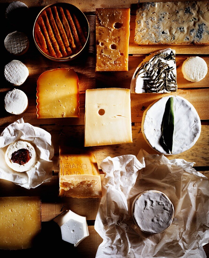 Assorted types of cheese on plywood