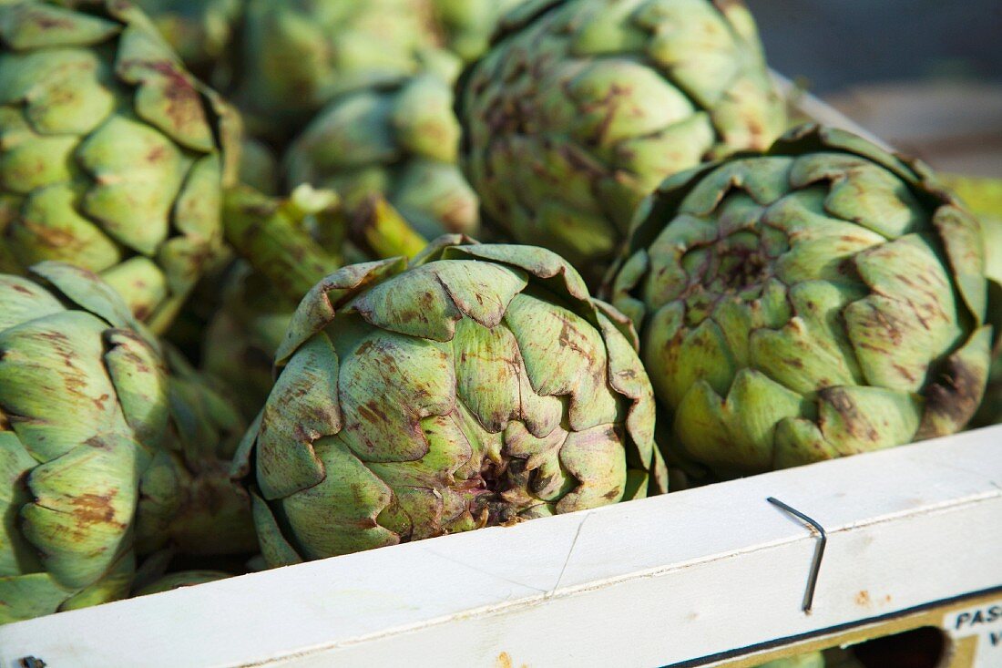 Artichokes