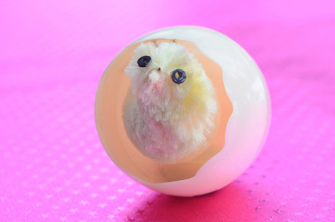 An Easter chick in an eggshell