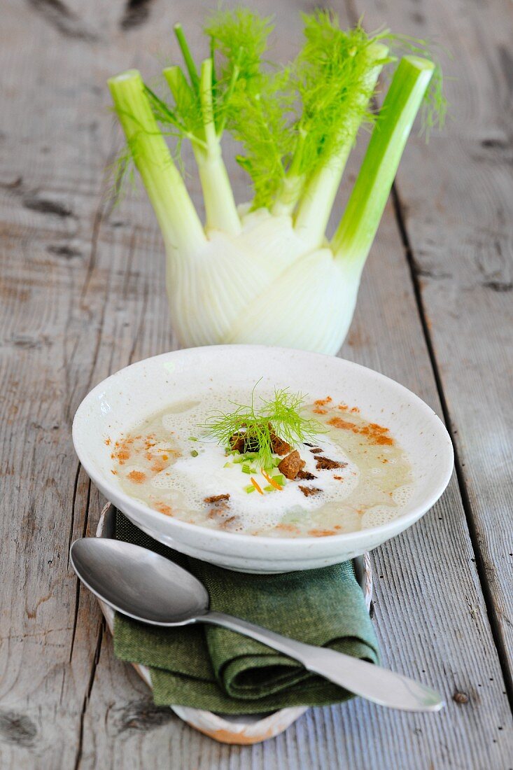 Fennel and orange soup