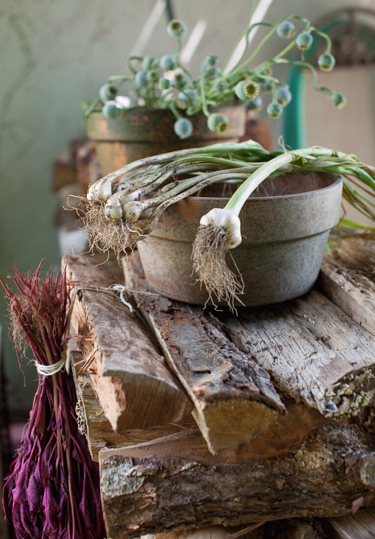 Green Onions Over a Clay Bowl on a Woodpile