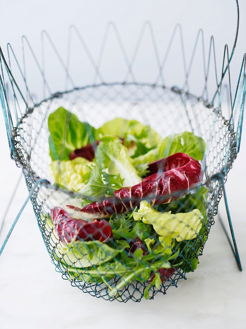 Salad leaves in a wire basket