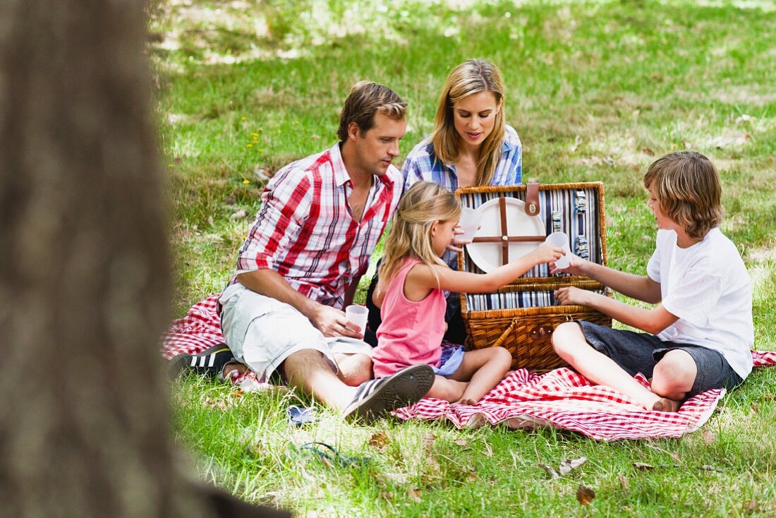 Family picnicking in a park