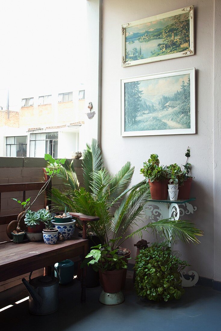 Balkonecke dekoriert mit Wandbildern & Topfpflanzen