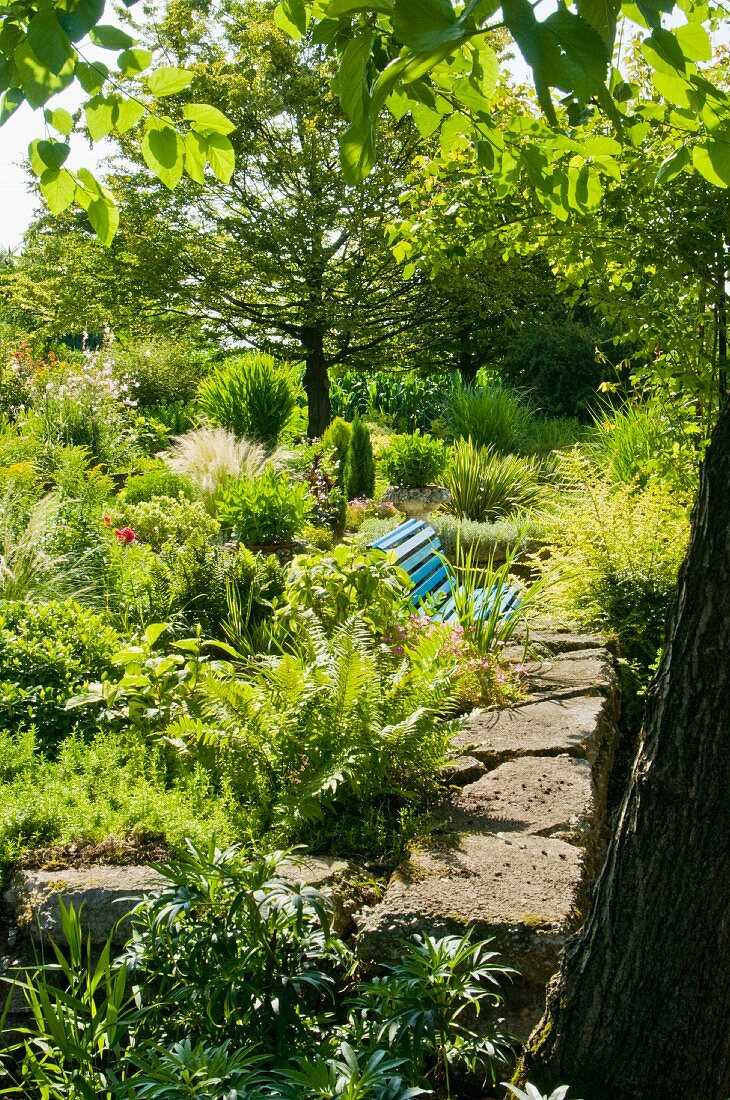 Blaue Bank versunken in sonnigem, mediterranem Garten