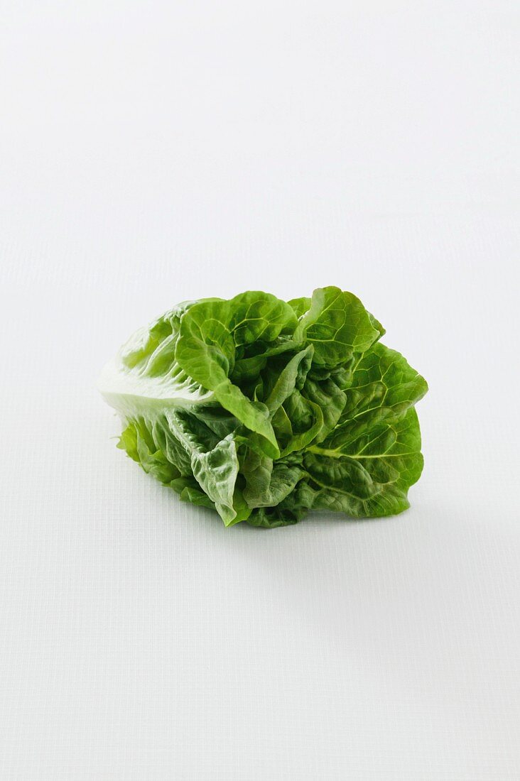 A romaine lettuce against a white background