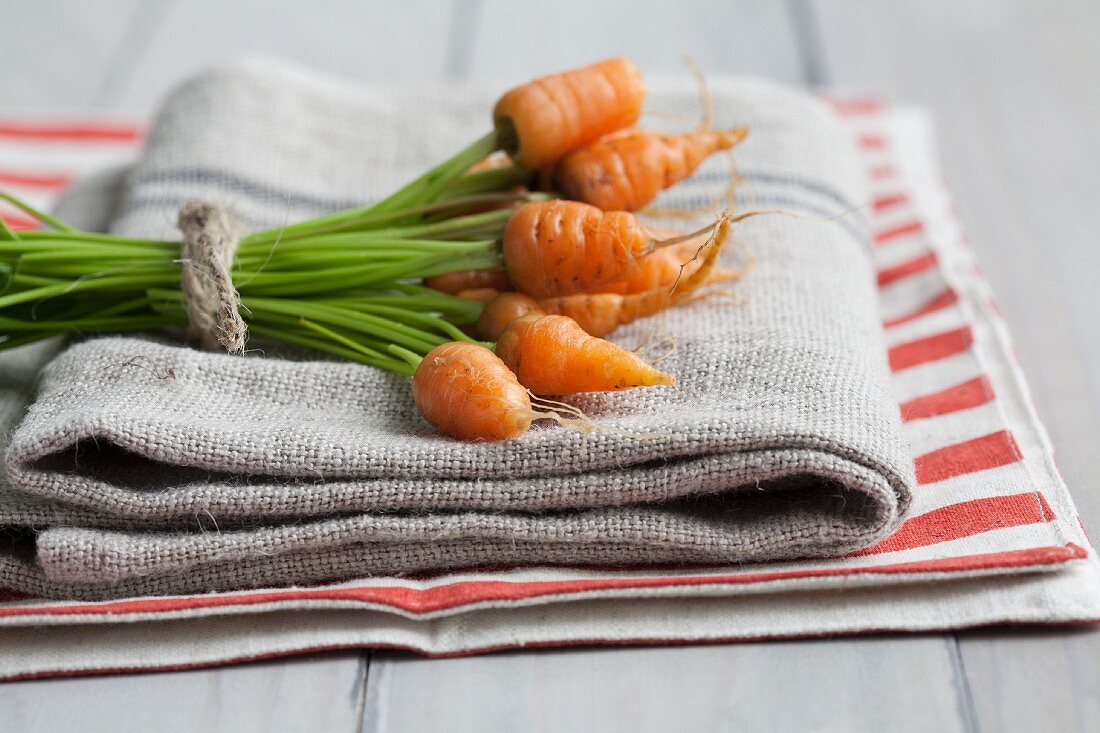 A bunch of baby carrots on a tea towel