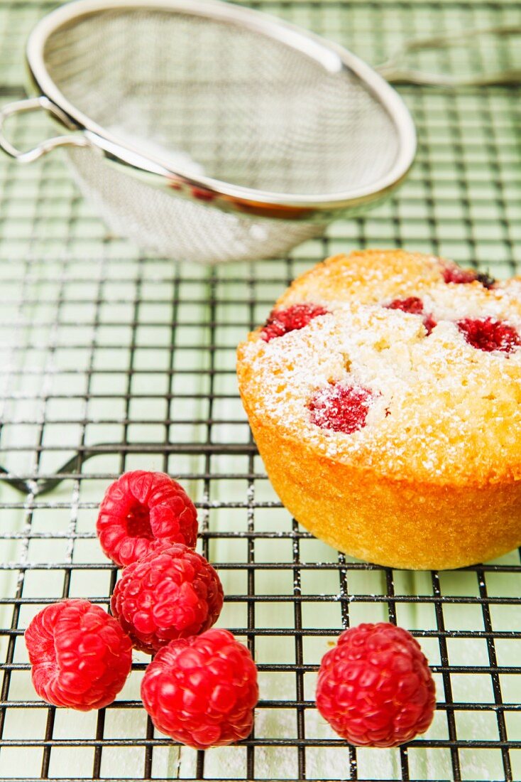 A raspberry muffin on a cooling rack