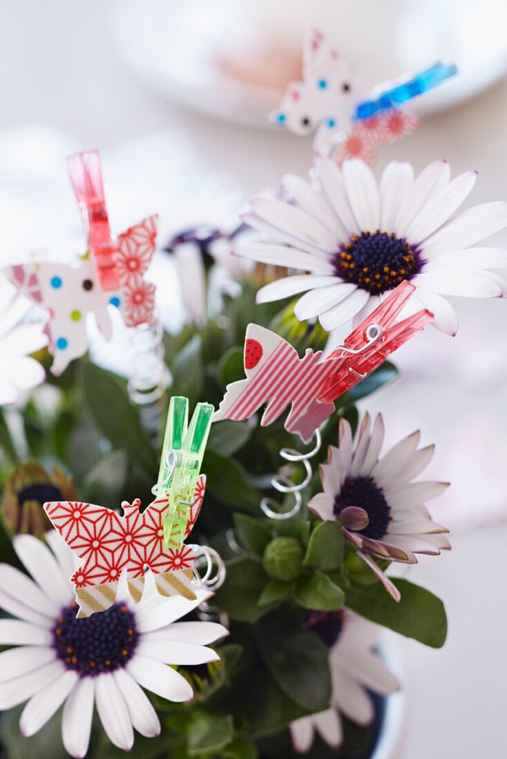 Paper butterflies attached to flowers with clothes pegs