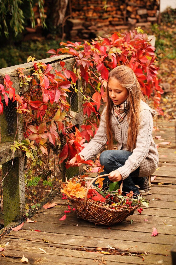 Young girl collecting autumn leaves