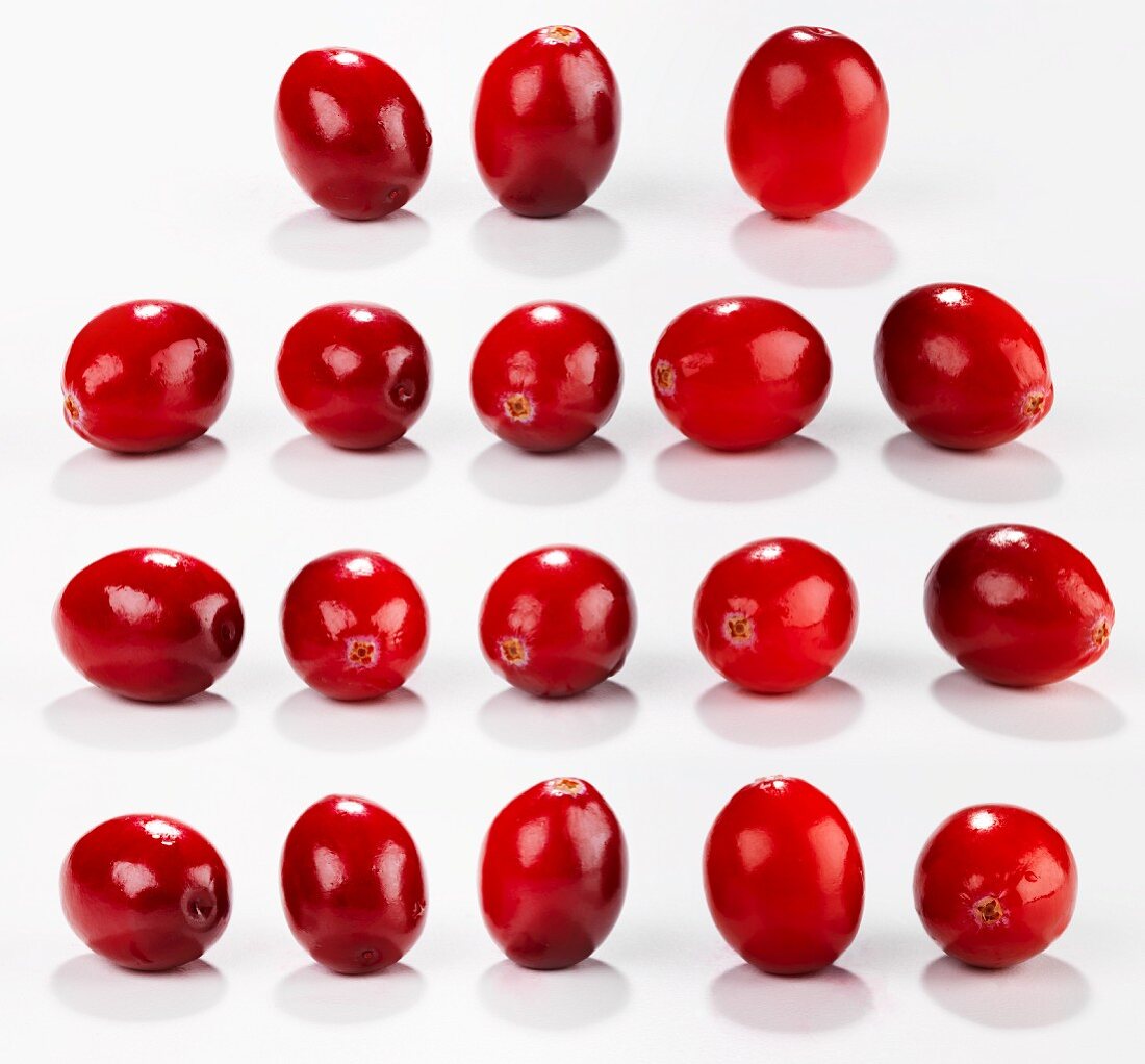 Cranberries in Reihen angeordnet