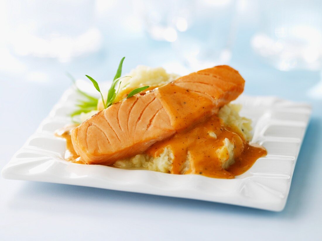Salmon fillet on mashed potato with spicy tomato sauce