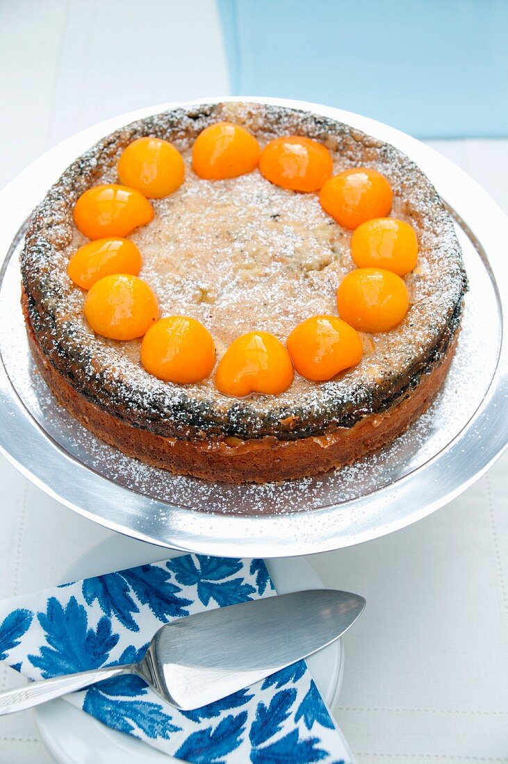 Apricot and poppy seed cake