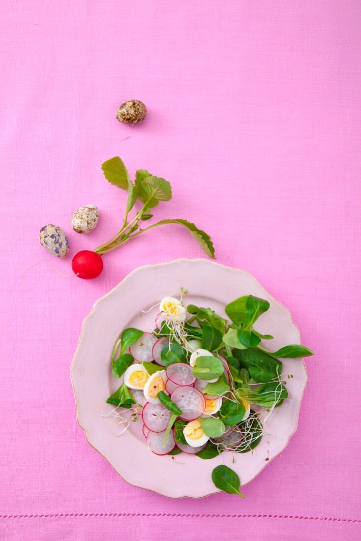 Feldsalat mit Wachteleiern, Radieschen und Sprossen