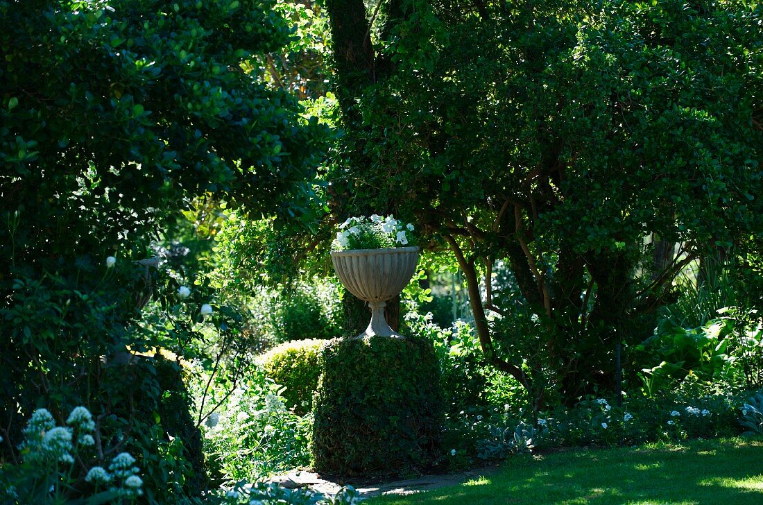 Bepflanzte Amphore auf beranktem Mauerpodest in üppigem Landschaftsgarten