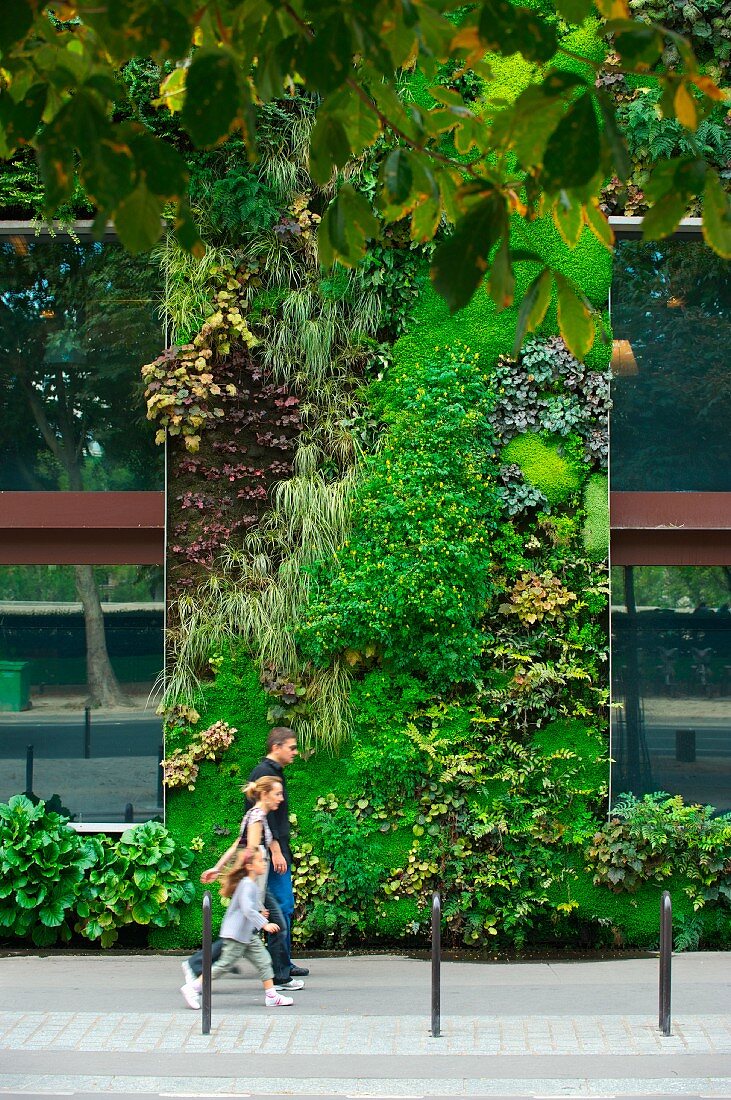 Living art - family on street in front of hotel facade with vertical garden in Paris