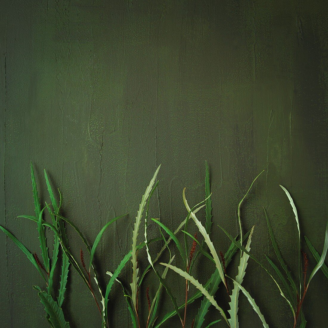 Pflanzendekoration vor grüner Wand