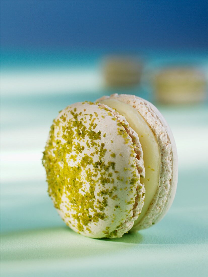 Wasabi-Macaron