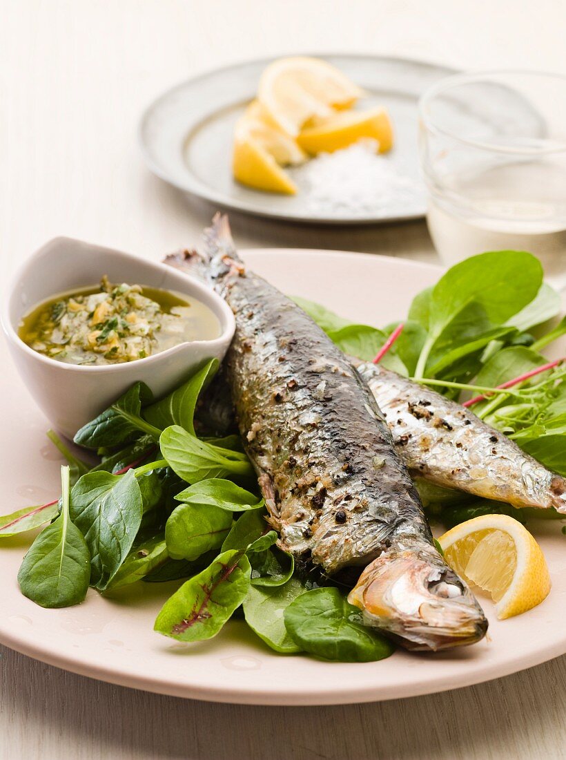 Grilled sardines with a herb sauce
