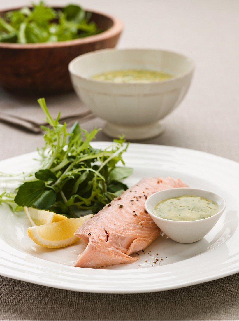 Sea trout fillet with salad leaves and a herb sauce