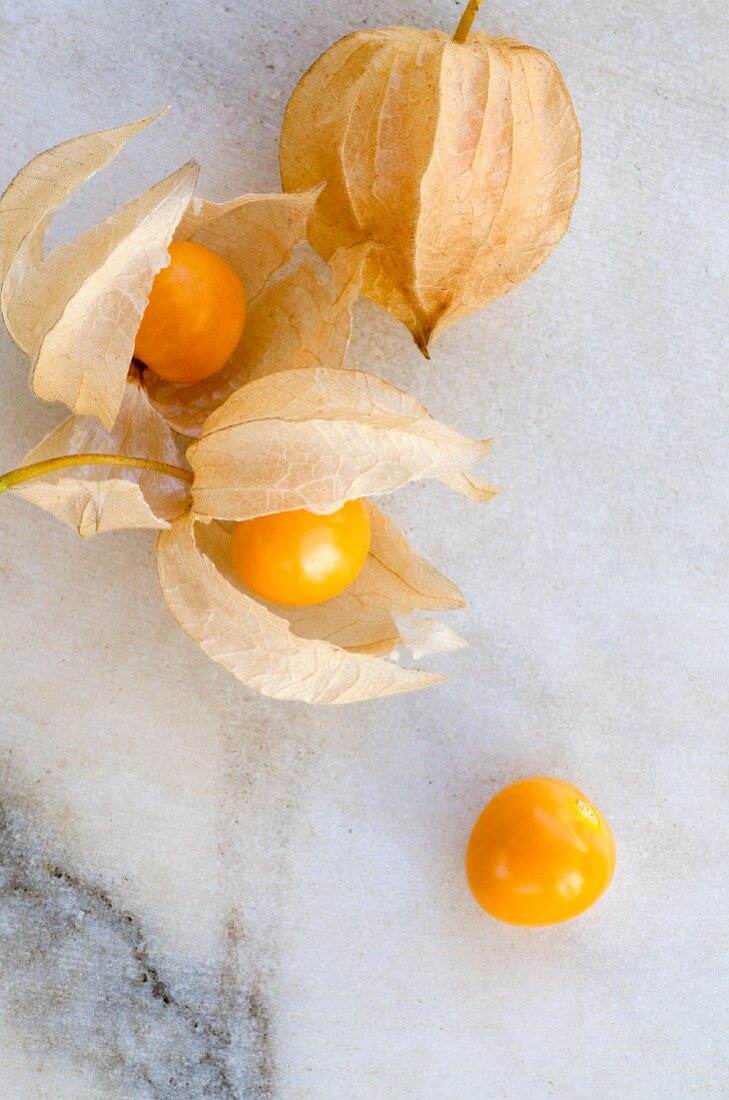 Four physalis (view from above)