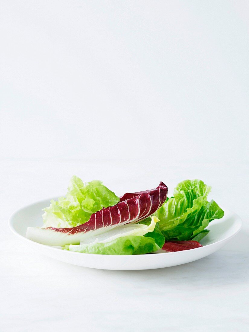 Verschiedene Salatblätter auf weißem Teller