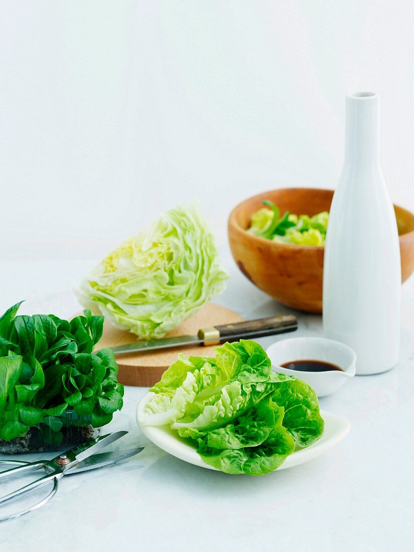 Selection of lettuces with balsamic vinegar and olive oil