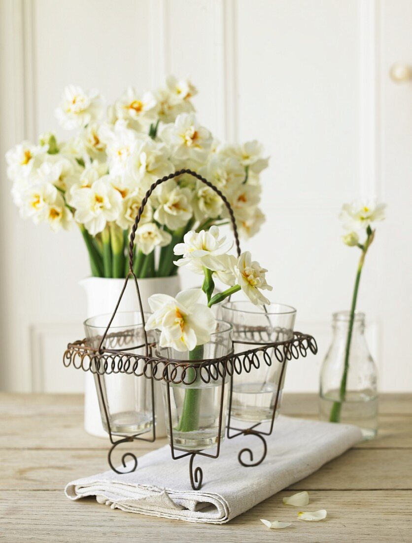 White narcissus in a glass and in a flower vase