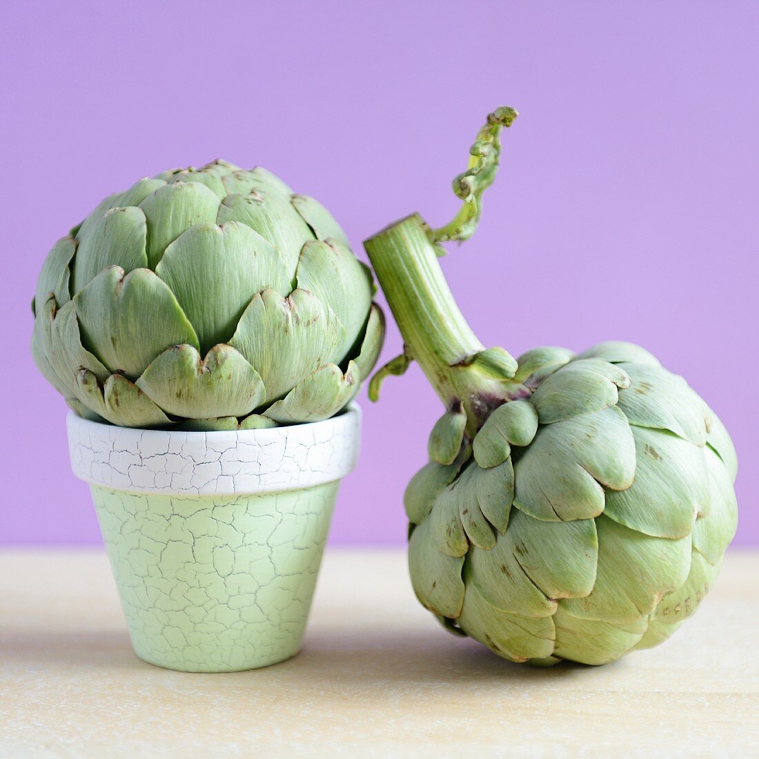 Two mini artichokes, on in a small flowerpot