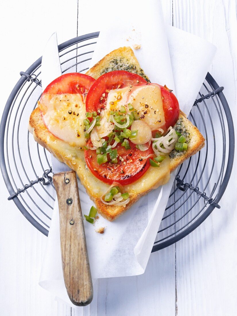 Toast with tomatoes, peppers, spring onions and mozzarella