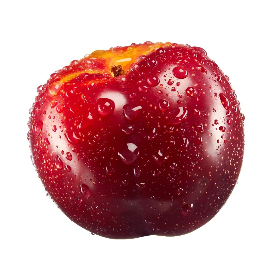 A red plum with water droplets