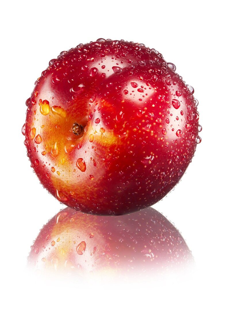 A red plum with water droplets