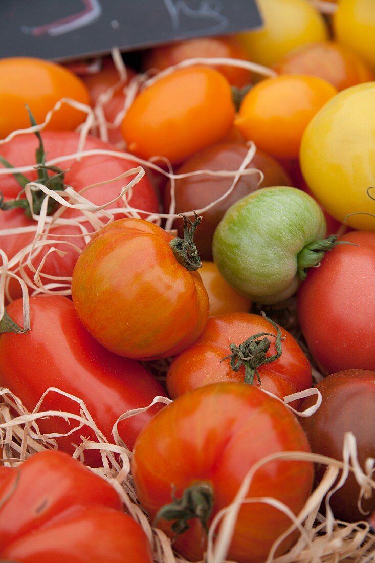 Bunte Tomaten auf dem Markt