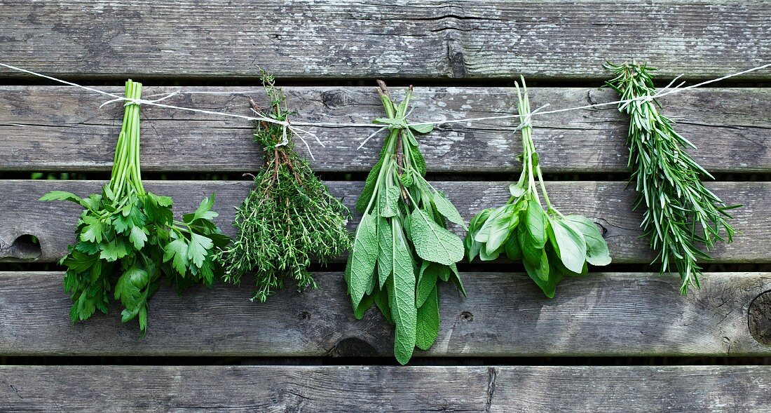 Bunches of herbs hanging against a wooden wall