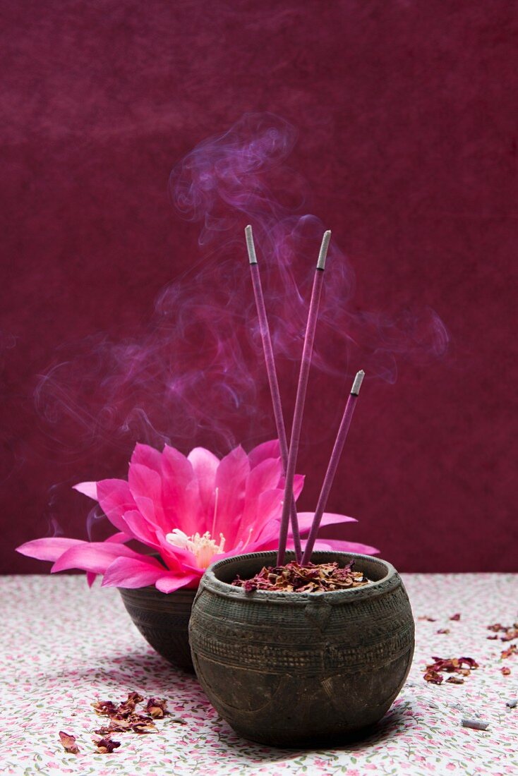 Incense sticks stuck in sand in a bowl with rose petals, in the background a phyllocactus flower