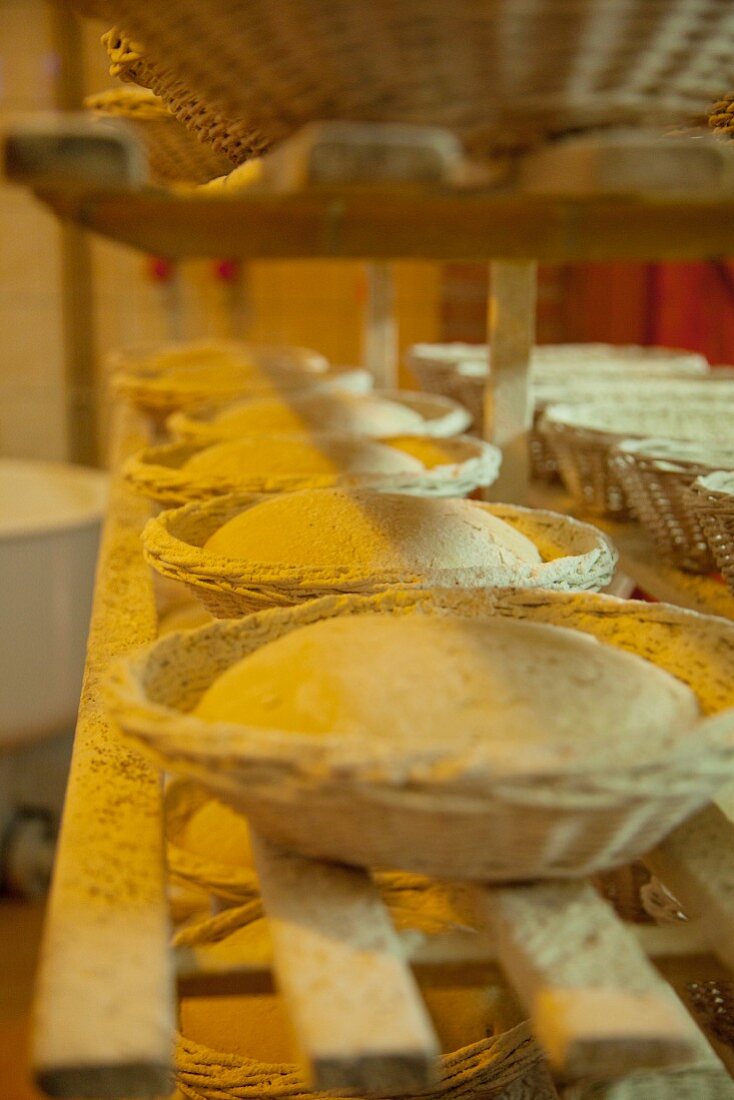 Baking baskets filled with bread dough on a set of shelves