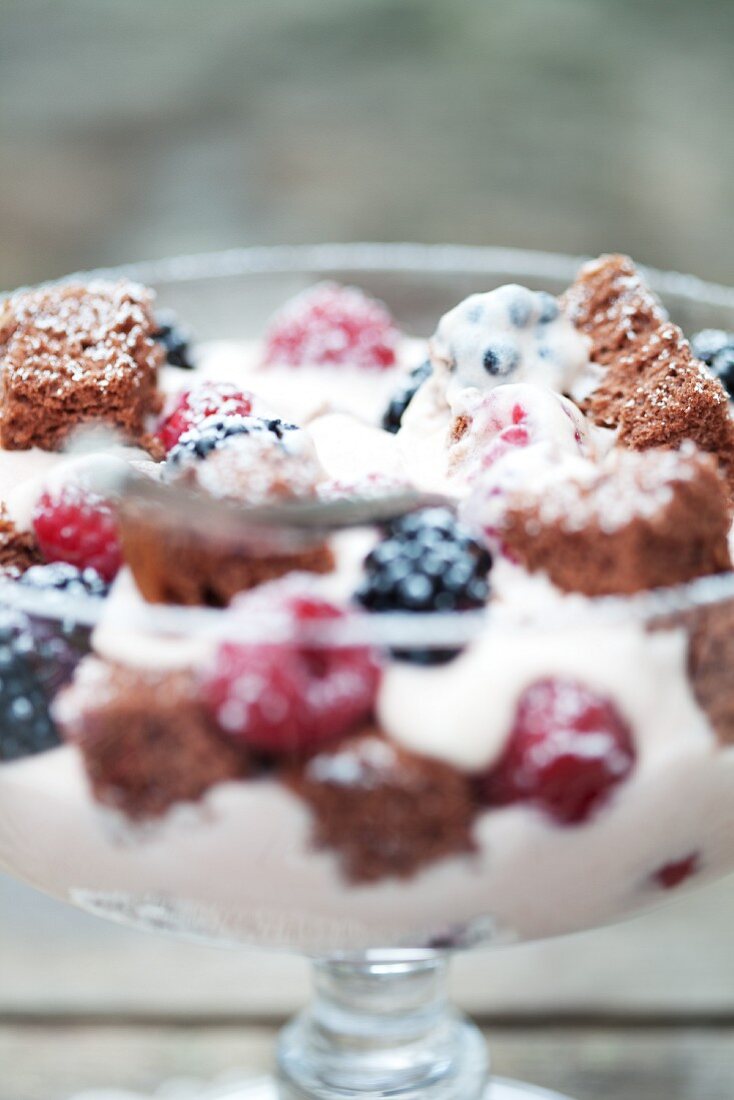 Yoghurt and berry dessert with chocolate sponge