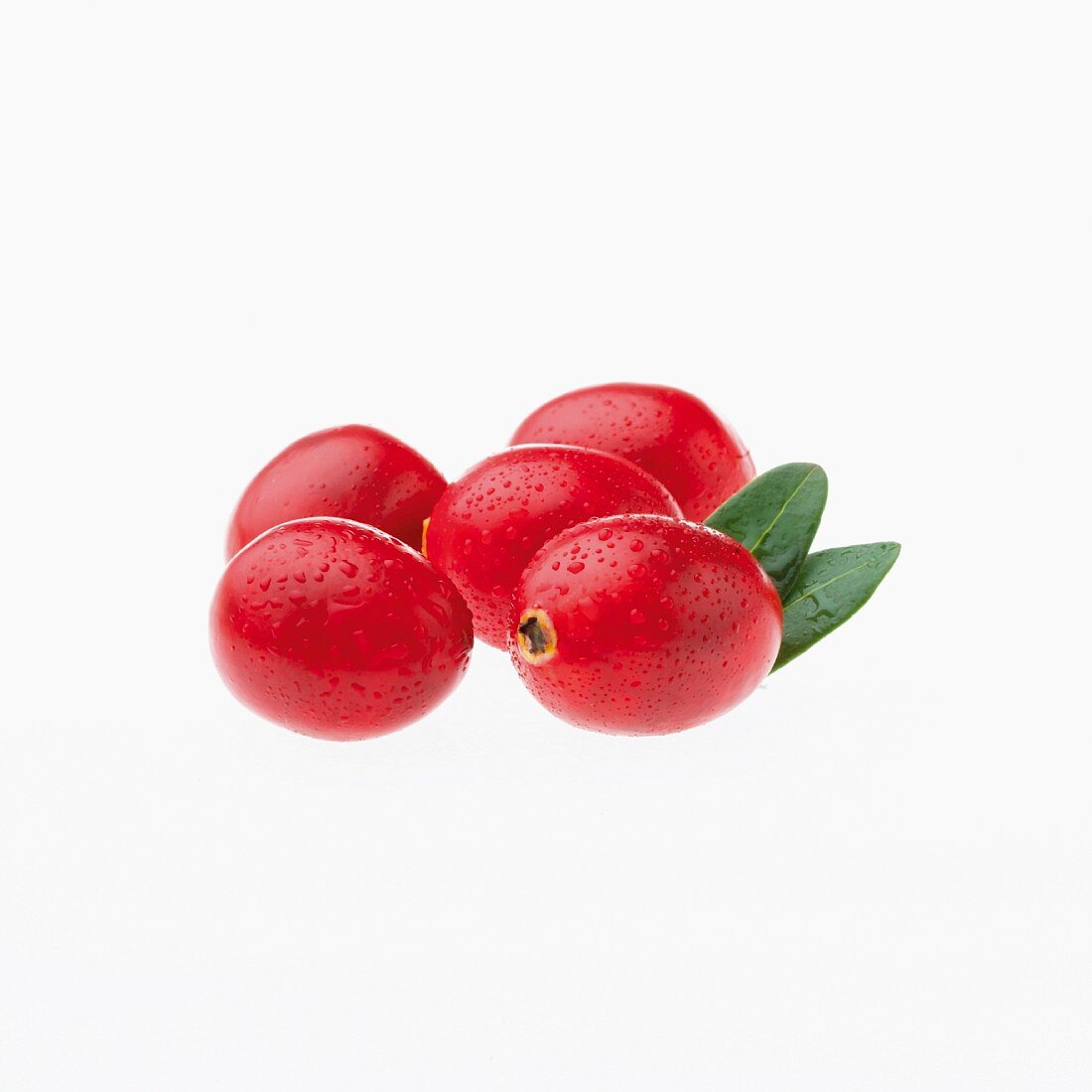 Five cranberries with water droplets