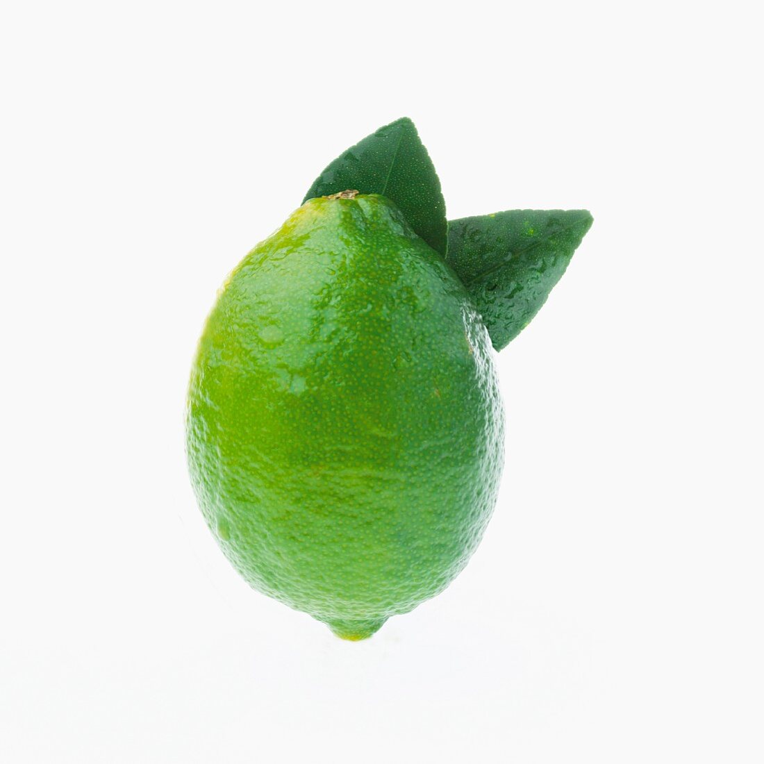 Eine Limette