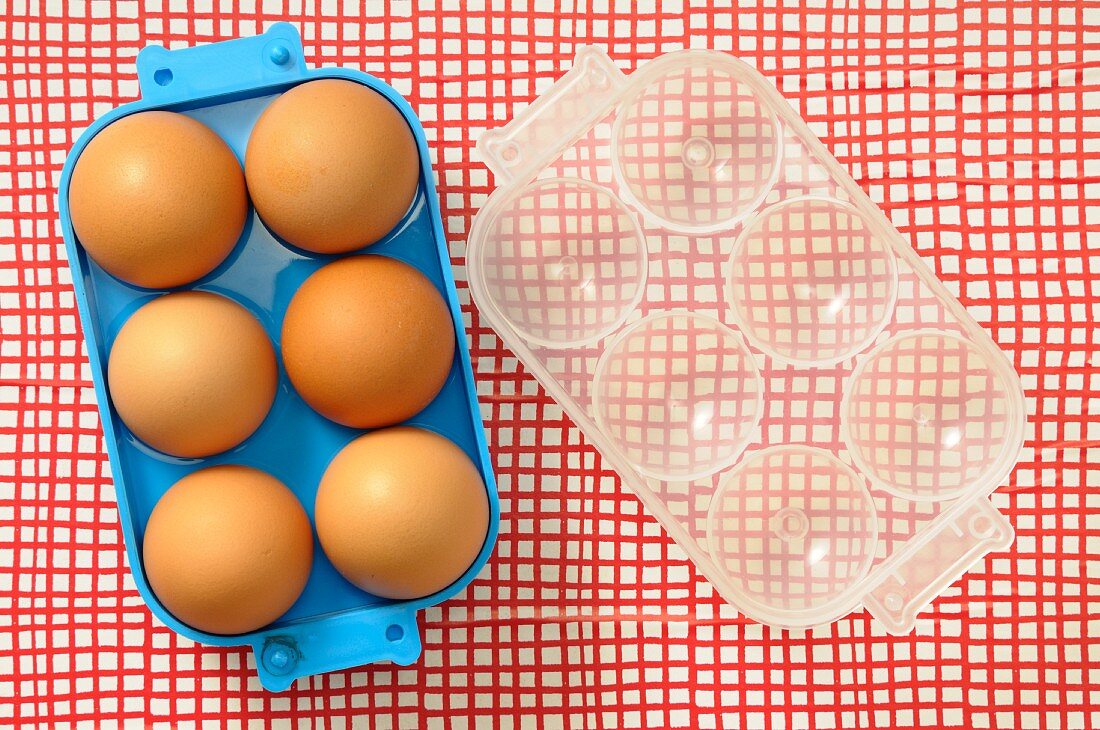 Sechs Eier im Eierbehälter