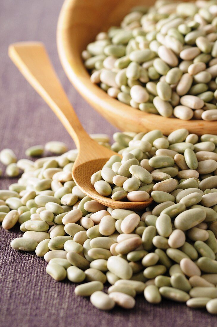 White beans, partly in a wooden bowl and on a spoon